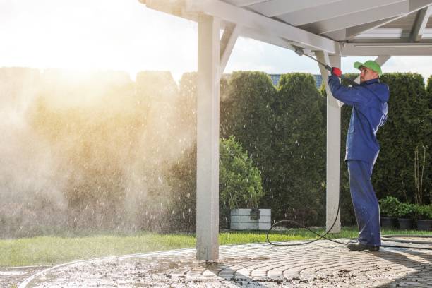 Best Fleet Vehicle Washing  in Meadow Oaks, FL