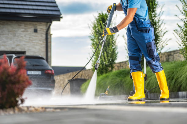 Best Driveway Pressure Washing  in Meadow Oaks, FL